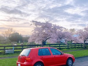 IMG_8037