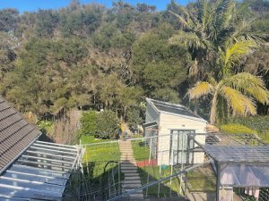 Back garden