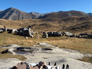 IMG_8695