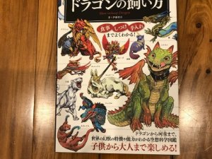 Japan book AK05
