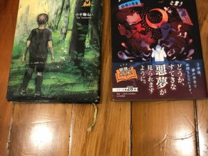 Japan book AK 02