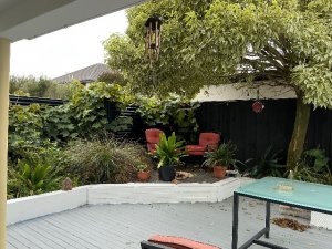 IMG_3612