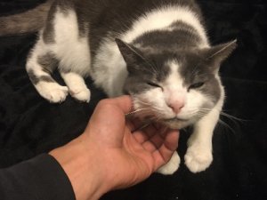 IMG_1756