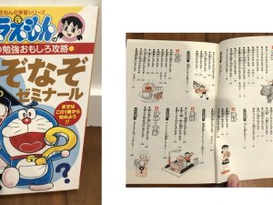Japan book iroiro8