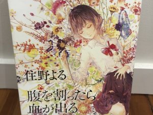 Japan book yomu1
