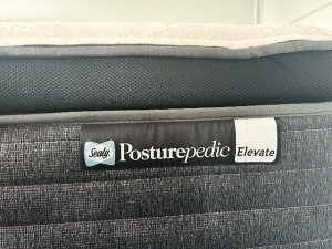 norie2