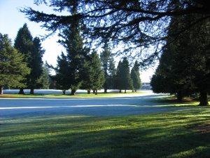 GOLF COURSE.  ROTORUA  ..NEW  ZEALAND
