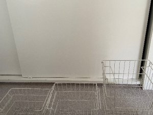 IMG_1695