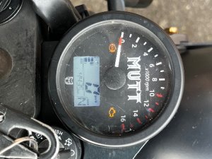 IMG_8536