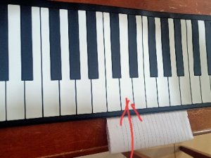IMG_20260913_124733