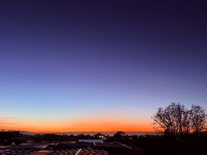 IMG_9149