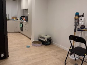 IMG_7984