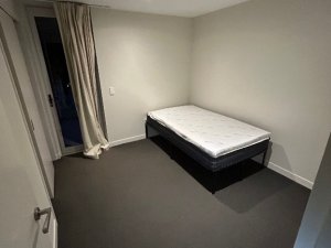IMG_5341