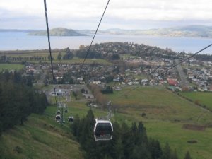 IMG_0678 (2)