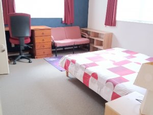 IMG_20260212_102453