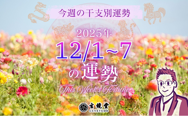今週の干支別運勢 ランキング 運勢特報：【2025/12/1~7】