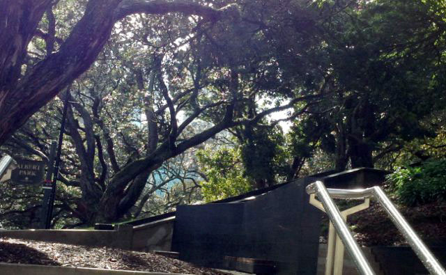 大学近くの公園