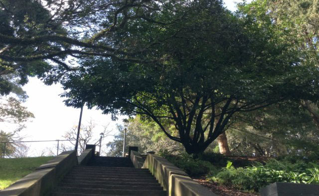 大学近くの公園