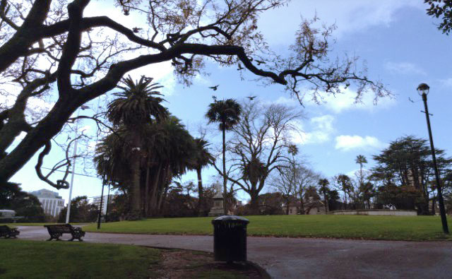 大学近くの公園