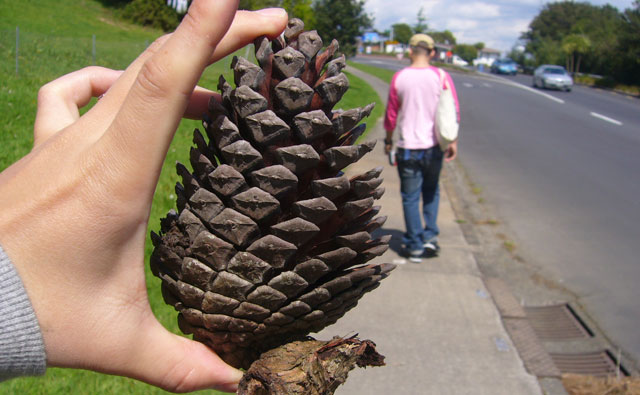 食いしん坊の料理人カップル