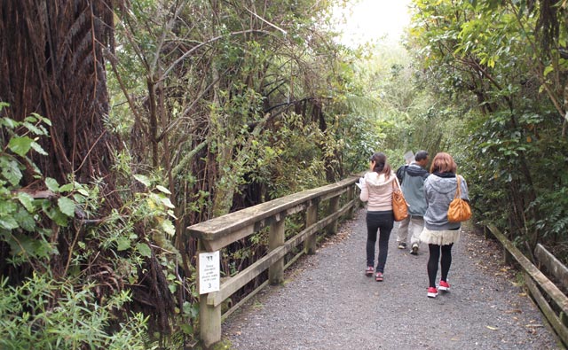 ウォーキングコース