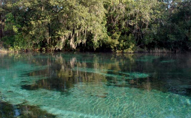 Rainbow Springs Kiwi Wildlife Park Rotorua