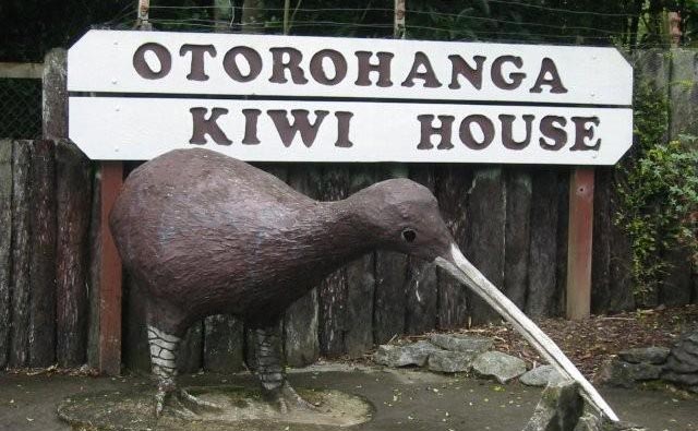Kiwi House Otorohanga