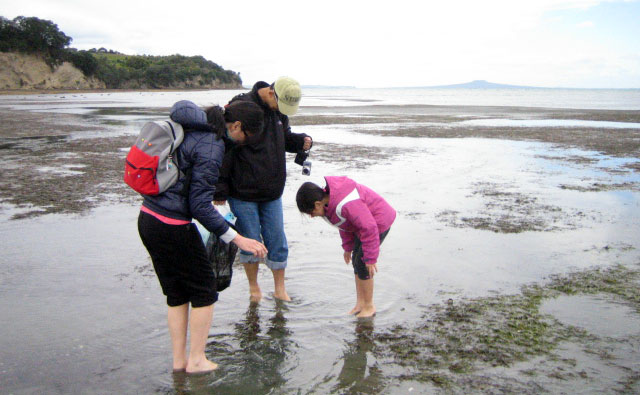 家族で潮干狩り