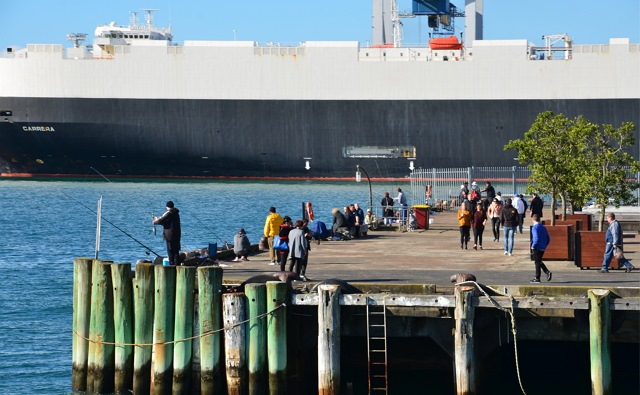 オークランドの海釣りスポット