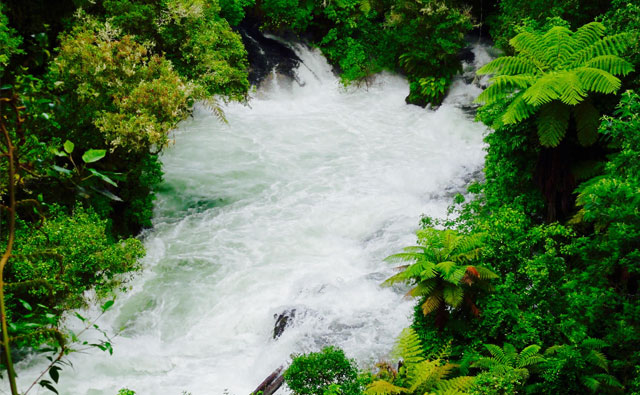 Okere Falls