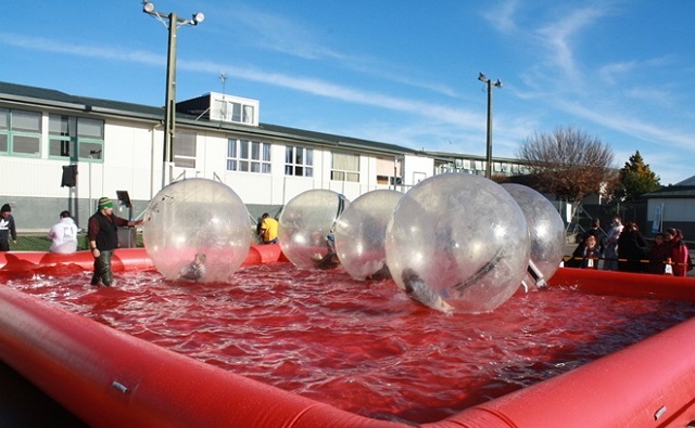 zorbs