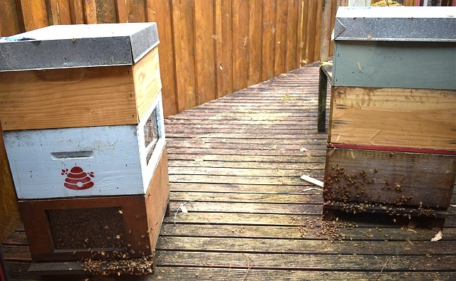 photo-14