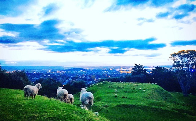 オークランド市内の自然スポット