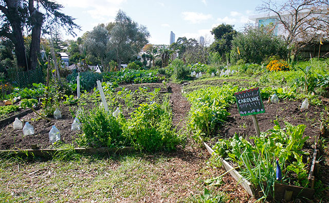 ケルマーナ・ガーデンズ