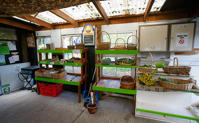 オーガニックガーデンづくりが学べるコース