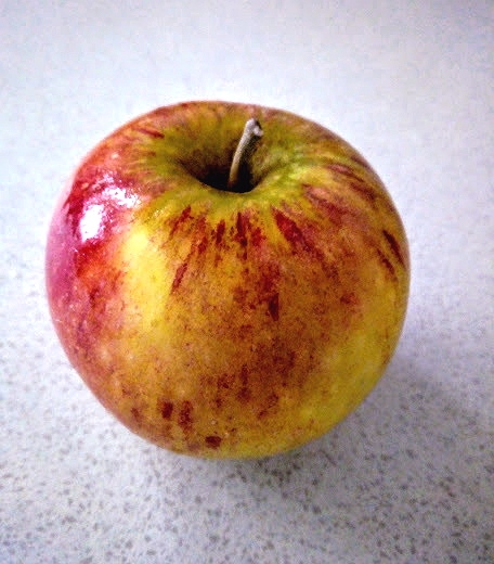 RFM 8