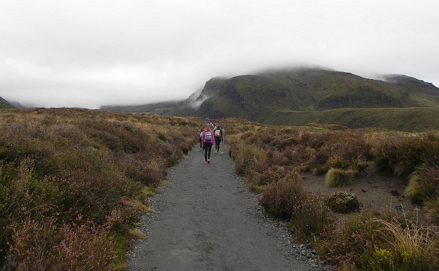 トンガリロ1dayトレッキング