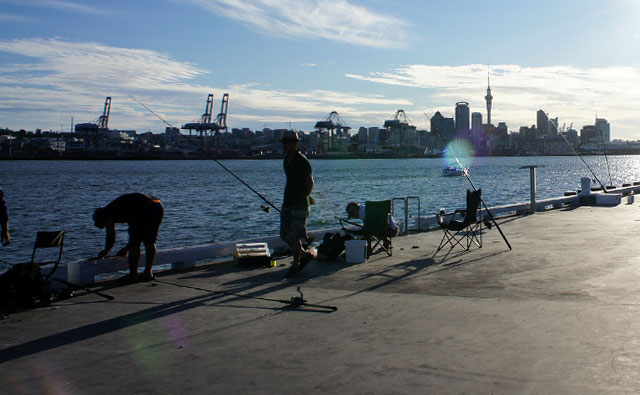 夏の防波堤釣りのススメ　晩ご飯を釣りに行く！