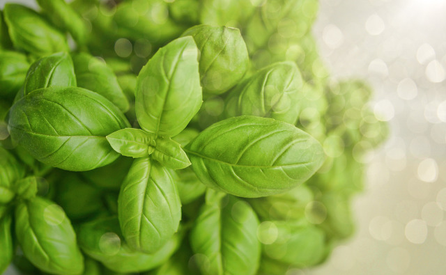 スパイス香る本格ガパオライス【定番料理におすすめ】