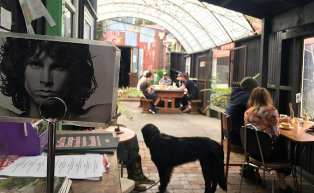 カフェ中庭 The ShroomRooms