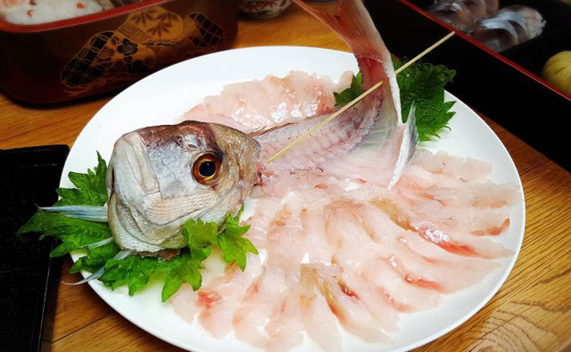 夏の船釣り鯛を釣る！釣って来た魚をさばく
