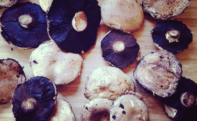 特大きのこポルトベッロ