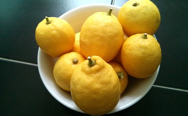 lemon-1