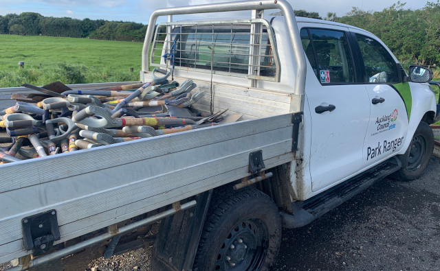 週末ボランティア“Tree Planting Day”レポート