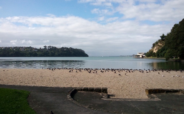 Blockhouse Bay Beach Reserve