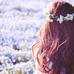Sumire
