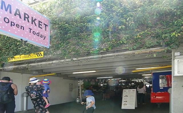 The Wellington Underground Market