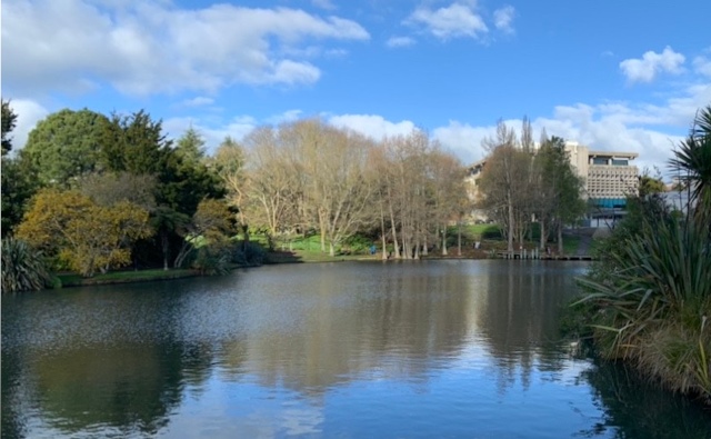 photo-2