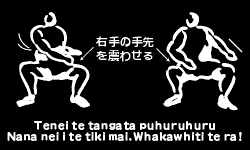ハカ6