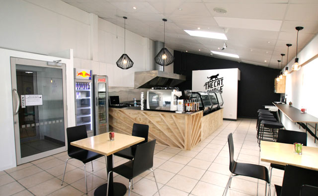 ニュージーランド初の猫カフェが遂にオープン！